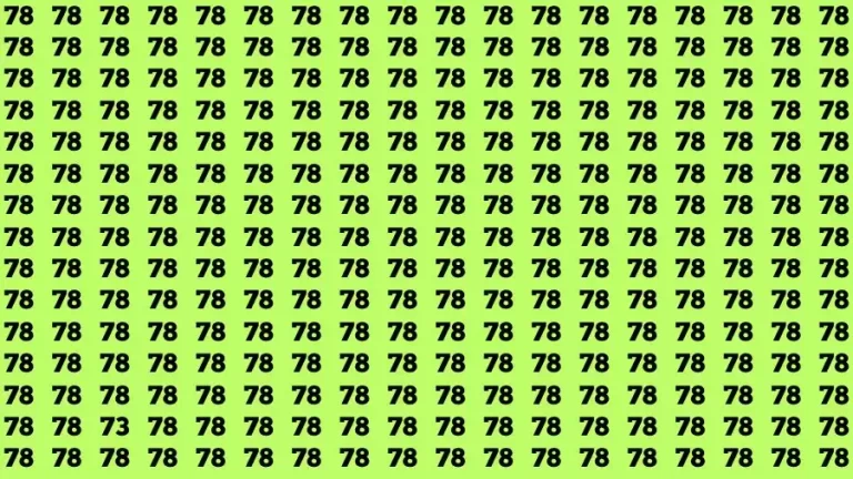 Observation Brain Challenge: If you have Eagle Eyes Find the number 73 among 78 in 12 Secs