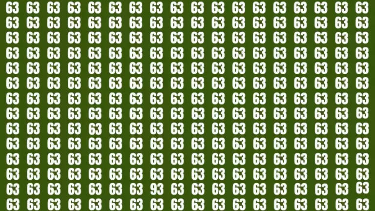 Test Visual Acuity: If you have 20/20 HD Vision Find the Number 93 among 63 in 10 Secs