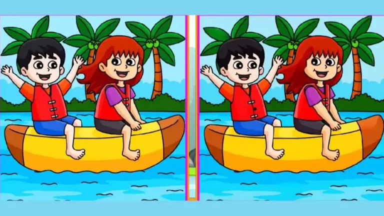 Brain Teaser Spot the Difference Picture Puzzle: Can you Spot 6 Differences in these Pictures?