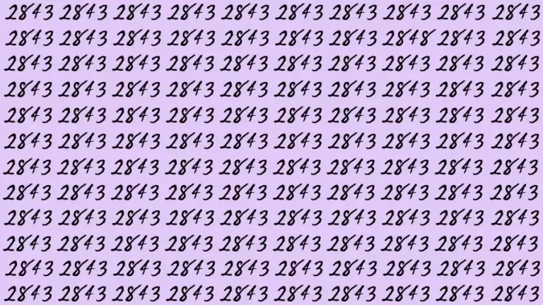 Optical Illusion Brain Challenge: If you have 50/50 Vision Find the number 2848 in 13 Secs