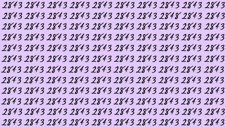 Optical Illusion Brain Challenge: If you have 50/50 Vision Find the number 2848 in 13 Secs