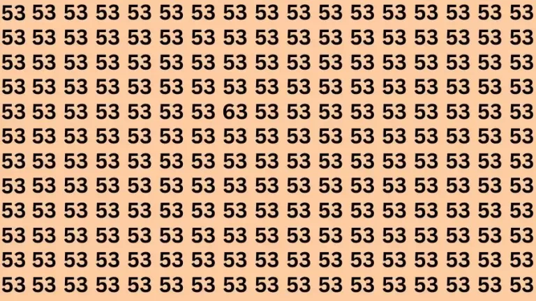 Optical Illusion Brain Challenge: If you have 50/50 Vision Find the number 63 among 53 in 18 Secs