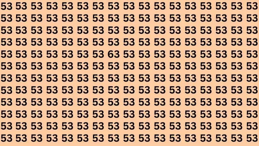 Optical Illusion Brain Challenge: If you have 50/50 Vision Find the number 63 among 53 in 18 Secs