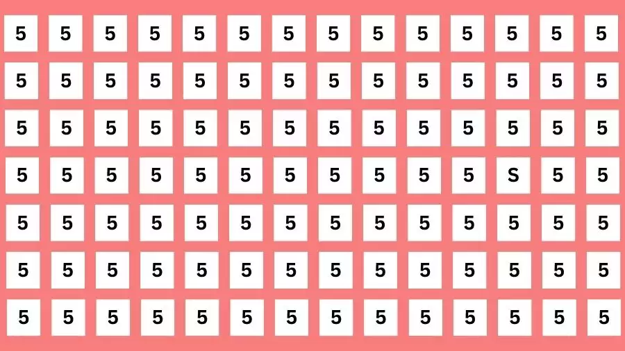 Optical Illusion Eye Test: If you have Extra Sharp Eyes Find the Letter S among 5 in 10 Secs