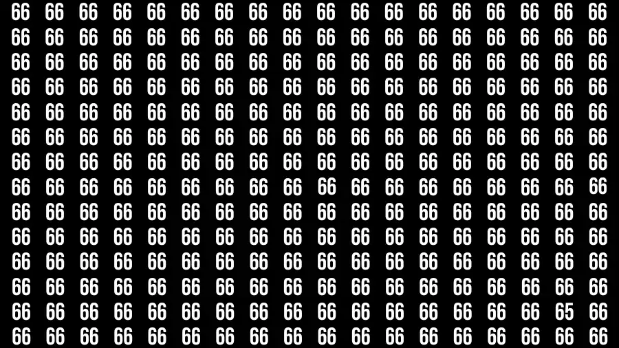 Thinking Test: If you have Eagle Eyes Find the number 65 among 66 in 12 Secs