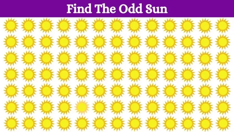 Optical Illusion: If you have Eagle Eyes find the Odd Sun in 15 Seconds