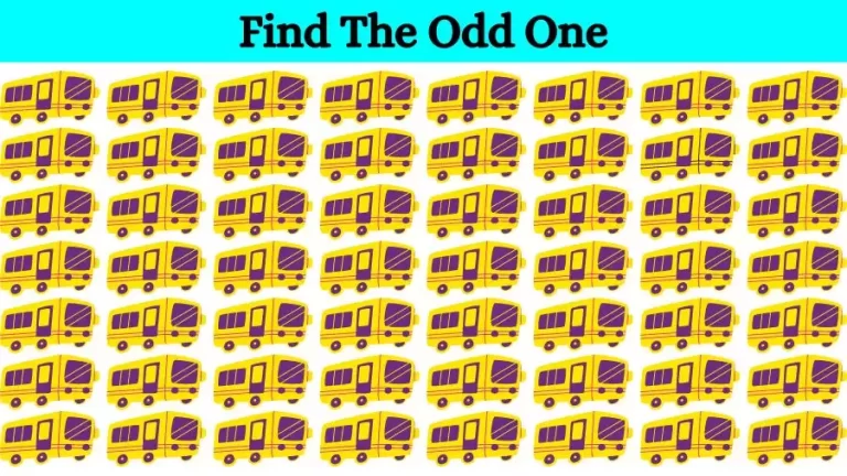 Brain Test: Can you spot the Odd One Out in this Image in 12 Secs?