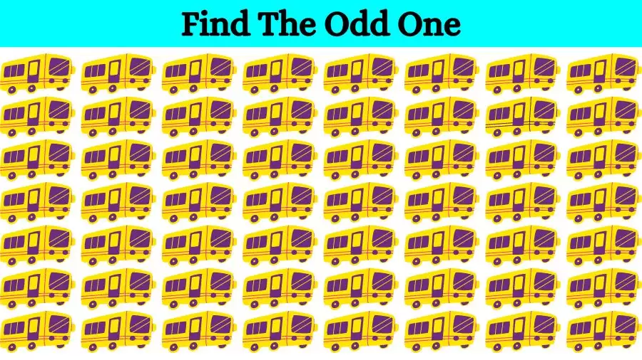 Brain Test: Can you spot the Odd One Out in this Image in 12 Secs?