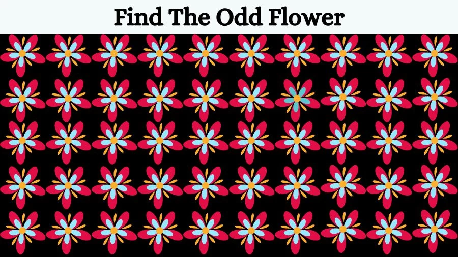 Optical Illusion: If you have Eagle Eyes find the Odd Flower in 15 Seconds