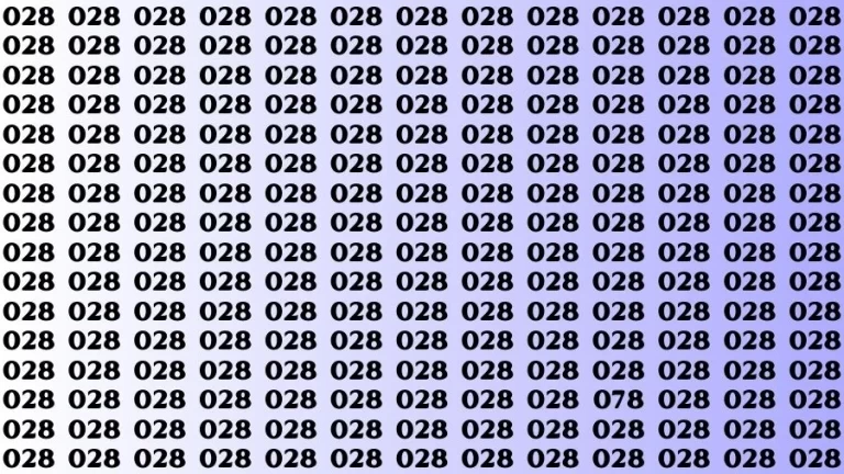 Optical Illusion Brain Challenge: If you have 50/50 Vision Find the number 078 in 18 Secs