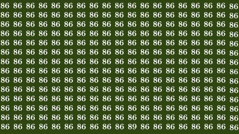 Test Visual Acuity: If you have Eagle Eyes Find the Number 89 in 15 Secs