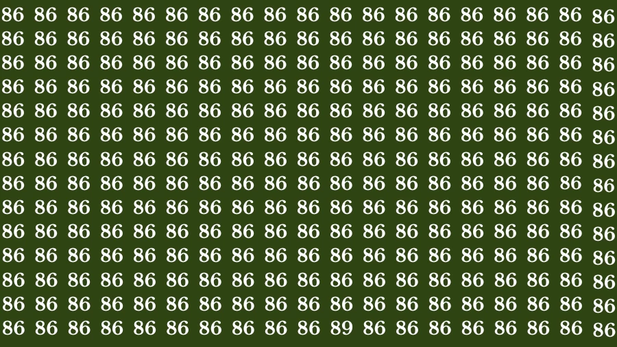 Test Visual Acuity: If you have Eagle Eyes Find the Number 89 in 15 Secs