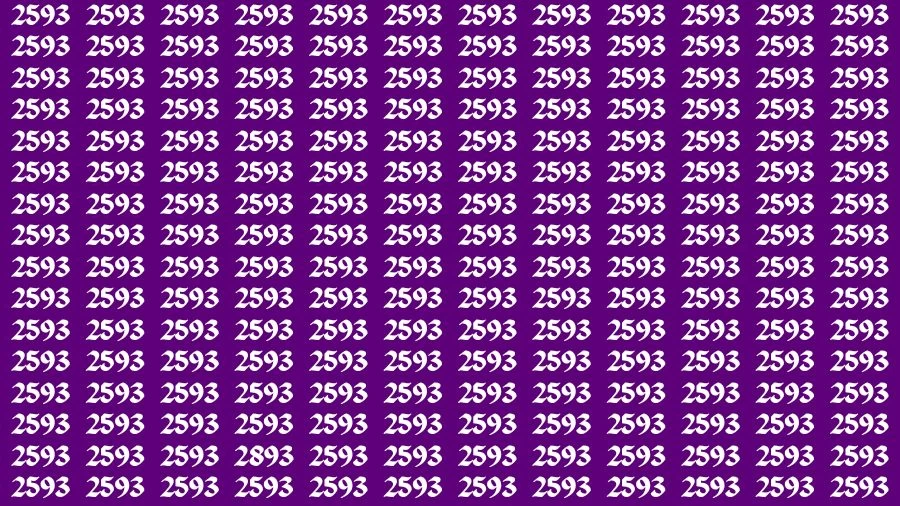 Optical Illusion Eye Test: If you have Hawk Eyes Find the Number 2893 in 13 Secs