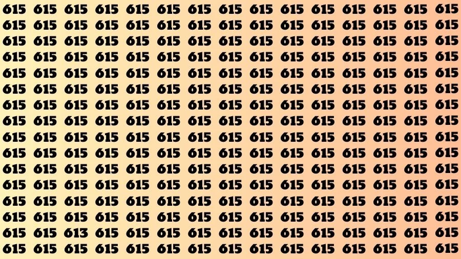 Observation Visual Test: If you have Hawk Eyes Find the Number 613 among 615 in 15 Secs