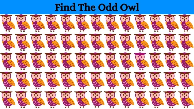 Optical Illusion Brain Challenge: If you have Eagle Eyes find the Odd Owl in 15 Seconds