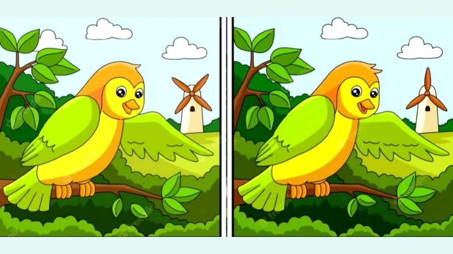 Optical Illusion Spot the Difference Picture Puzzle: Can You Find the Difference Between Two Images Within 35 Seconds?