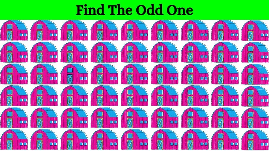 Brain Teaser for Sharp Eyes: Can you locate the Odd One Out in 10 Secs?