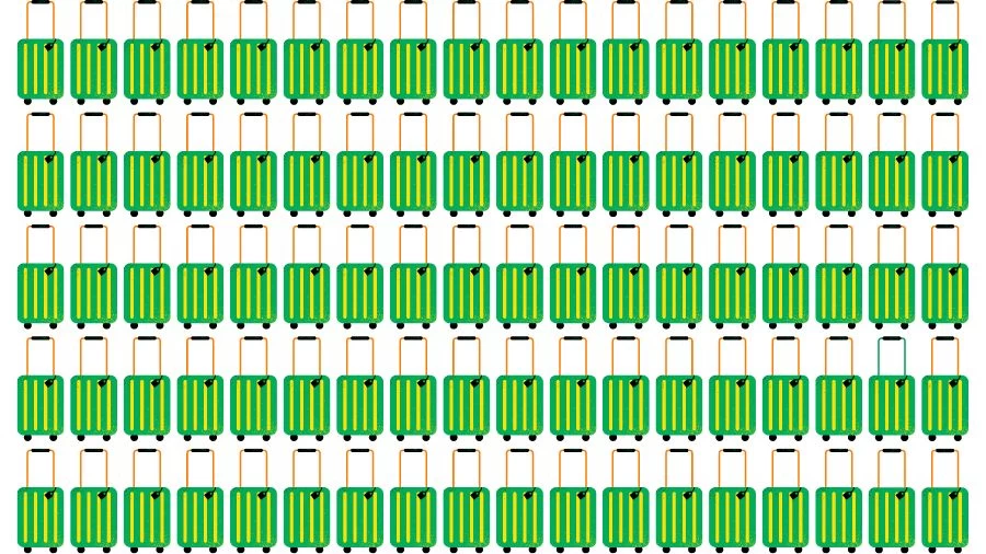 Optical Illusion Visual Test: If you have Eagle Eyes find the Odd Suitcase in 18 Seconds