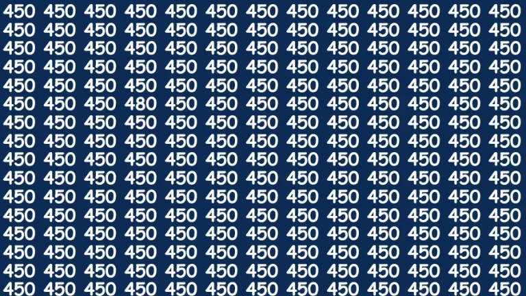 Observation Find it Out: If you have Sharp Eyes Find the Number 480 in 20 Secs