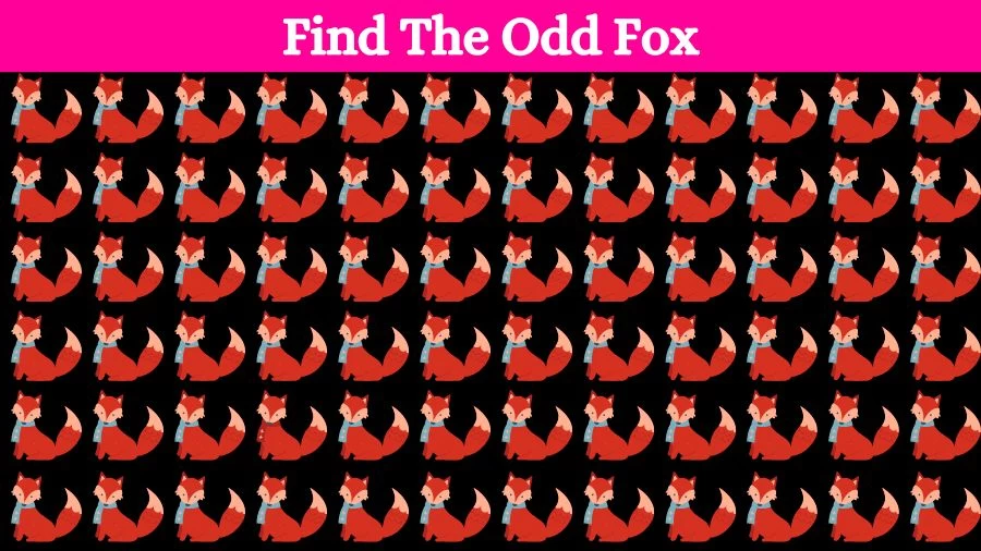 Optical Illusion Visual Test: If you have Eagle Eyes find the Odd Fox in 18 Seconds