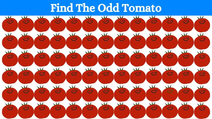 Optical Illusion Brain Challenge: If you have Eagle Eyes find the Odd Tomato in 15 Seconds