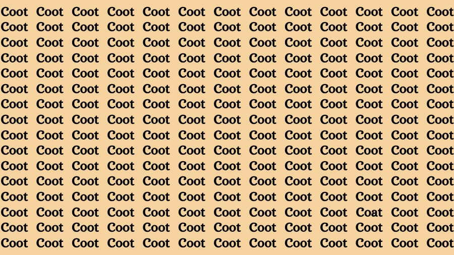 Observation Brain Challenge: If you have Eagle Eyes Find the word Coat among Coot in 15 Secs