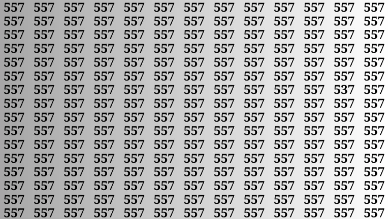 Test Visual Acuity: If you have Eagle Eyes Find the Number 537 among 557 in 15 Secs