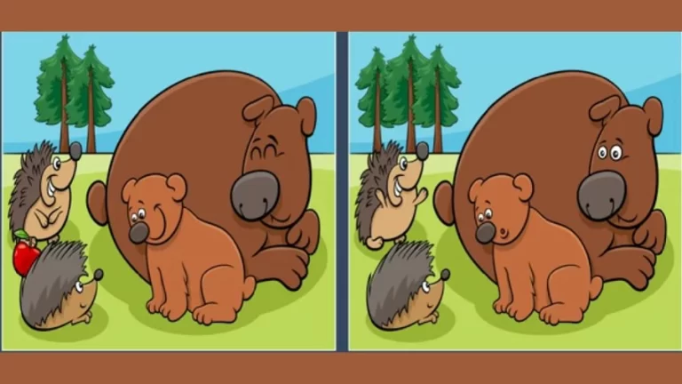 Brain Teaser Visual Test: Only a genius can find the 5 differences in less than 25 seconds!