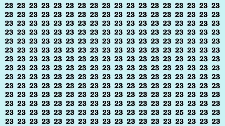 Observation Find it Out: If you have Sharp Eyes Find the Number 25 in 20 Secs