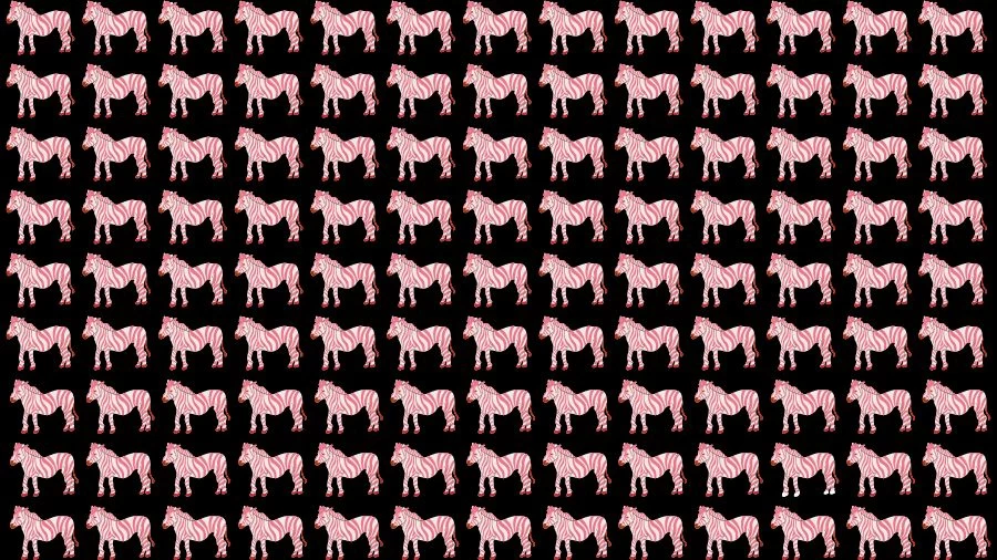 Optical Illusion Brain Challenge: If you have Eagle Eyes find the Odd Zebra in 15 Seconds