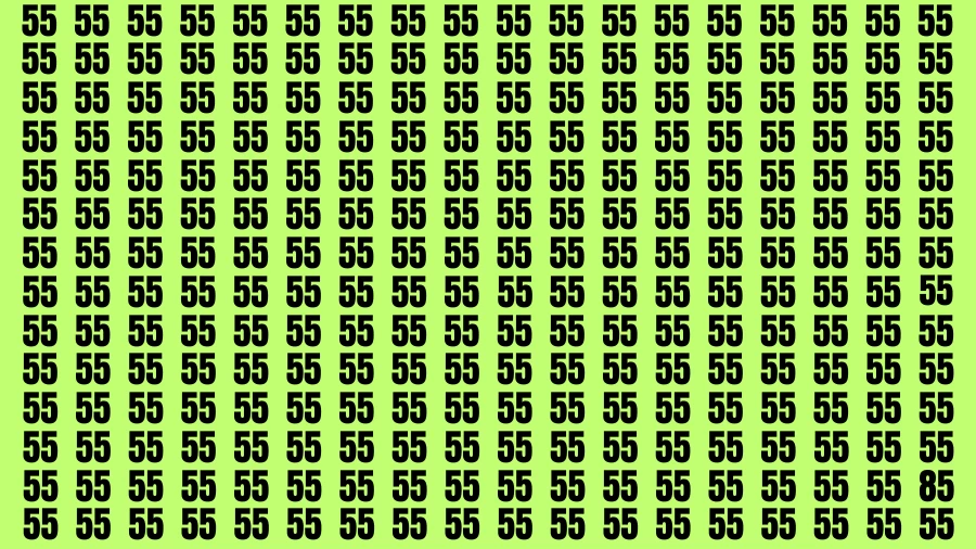 Visual Test: If you have Hawk Eyes Find the Number 85 in 15 Secs