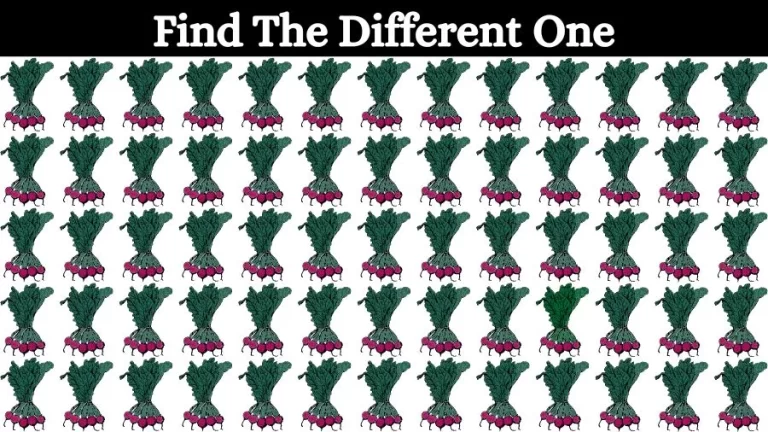 Optical Illusion Visual Test: If you have Eagle Eyes find the Odd Beetroot in 18 Seconds