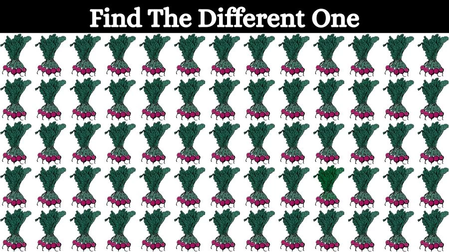 Optical Illusion Visual Test: If you have Eagle Eyes find the Odd Beetroot in 18 Seconds