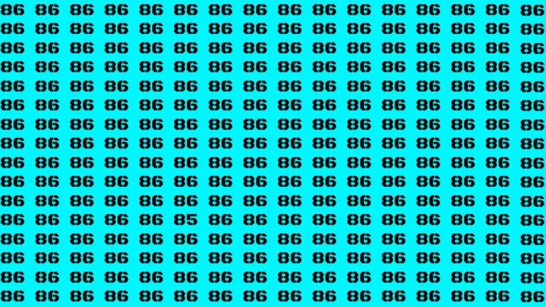 Observation Visual Test: If you have Eagle Eyes Find the number 85 among 86 in 12 Secs