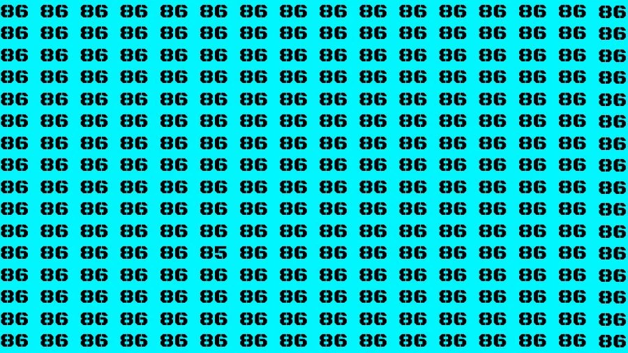 Observation Visual Test: If you have Eagle Eyes Find the number 85 among 86 in 12 Secs