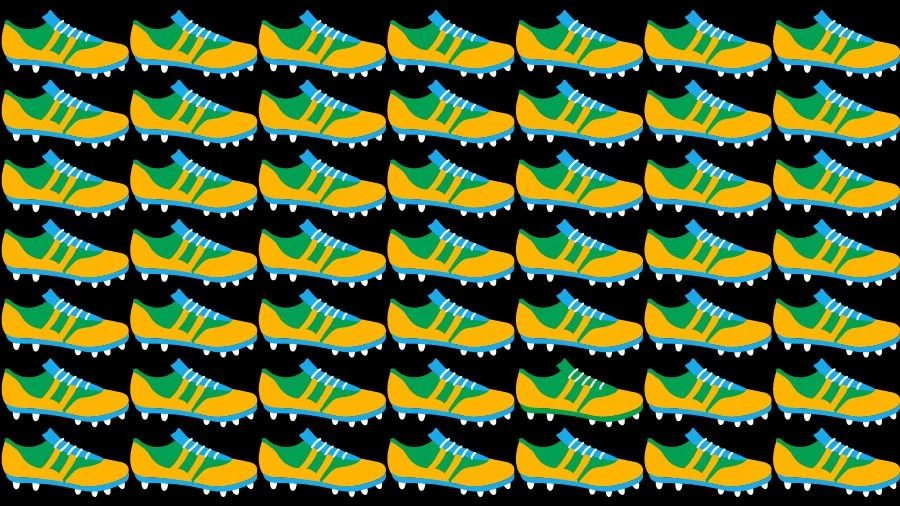 Optical Illusion Visual Test: If you have Eagle Eyes find the Odd Shoe in 18 Seconds