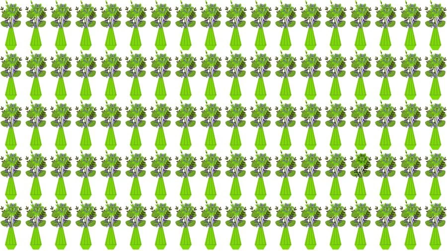 Optical Illusion Eye Test: Can you find the Odd Flower Vase in 20 Seconds?