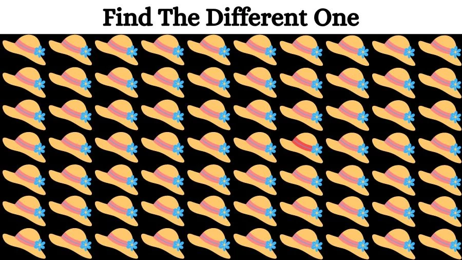 Optical Illusion Brain Challenge: If you have Eagle Eyes find the Odd Hat in 15 Seconds