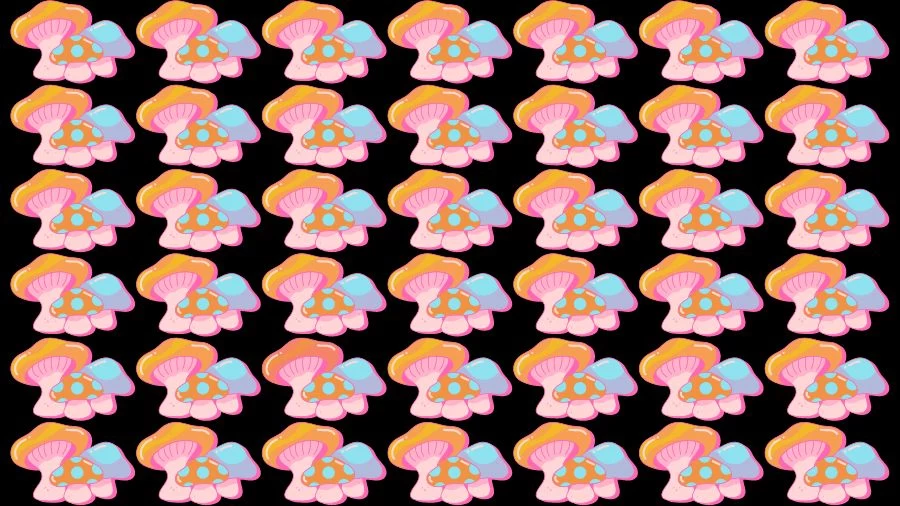 Optical Illusion Visual Test: If you have Eagle Eyes find the Odd Mushroom in 18 Seconds