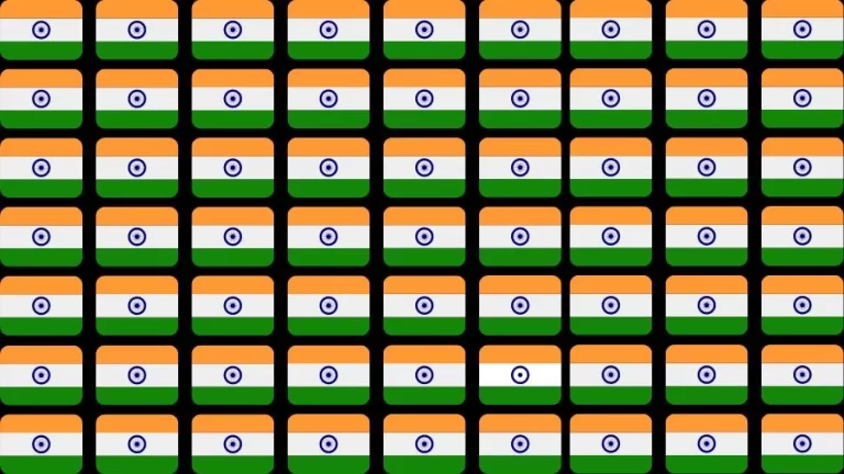 Optical Illusion Visual Test: If you have Eagle Eyes find the Odd Flag in 18 Seconds