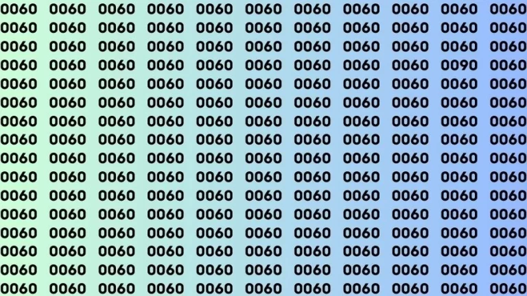 Optical Illusion Brain Challenge: If you have 50/50 Vision Find the number 0090 in 18 Secs