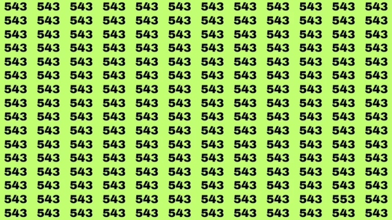 Observation Brain Challenge: If you have Hawk Eyes Find the Number 553 among 543 in 15 Secs