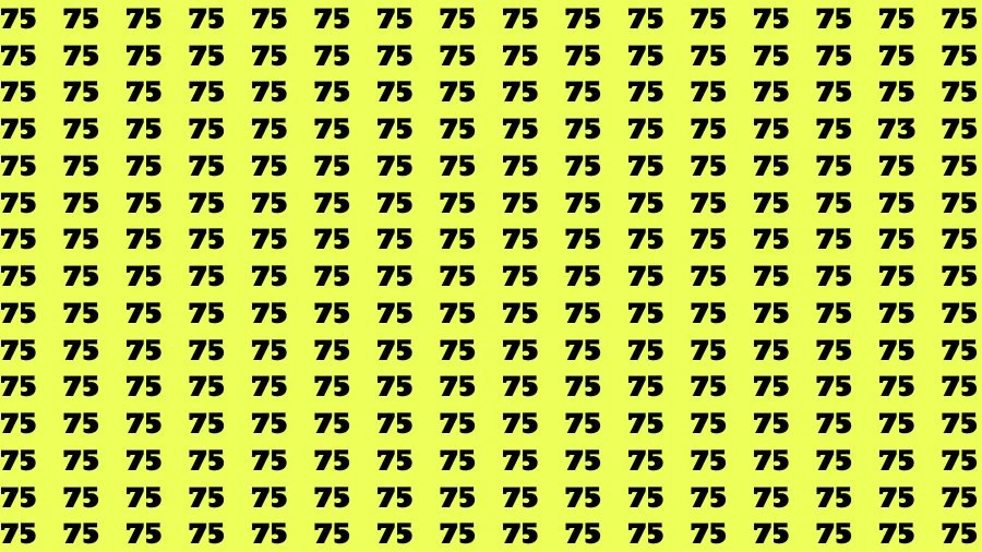 Optical Illusion Brain Challenge: If you have Hawk Eyes Find the Number 73 among 75 in 12 Secs