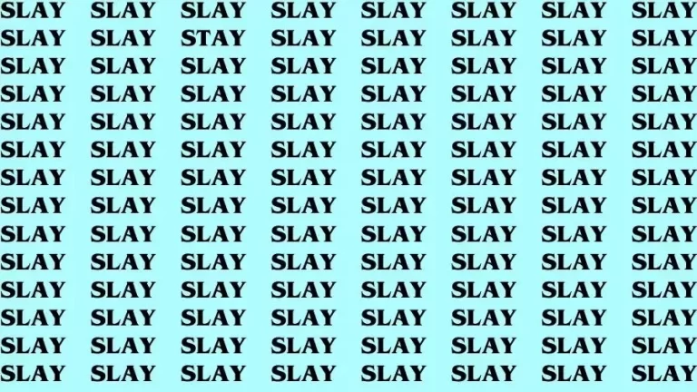 Visual Test: If you have Hawk Eyes Find the word Stay in 13 Secs