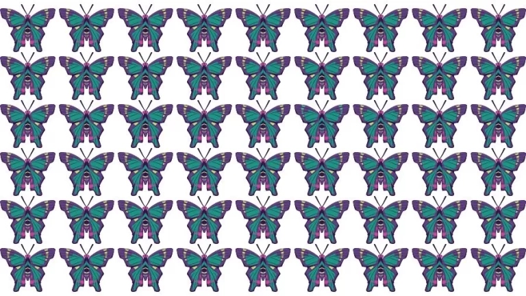 Optical Illusion Brain Challenge: If you have Eagle Eyes find the Odd Butterfly in 15 Seconds