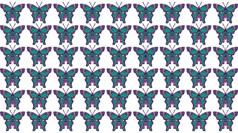 Optical Illusion Brain Challenge: If you have Eagle Eyes find the Odd Butterfly in 15 Seconds