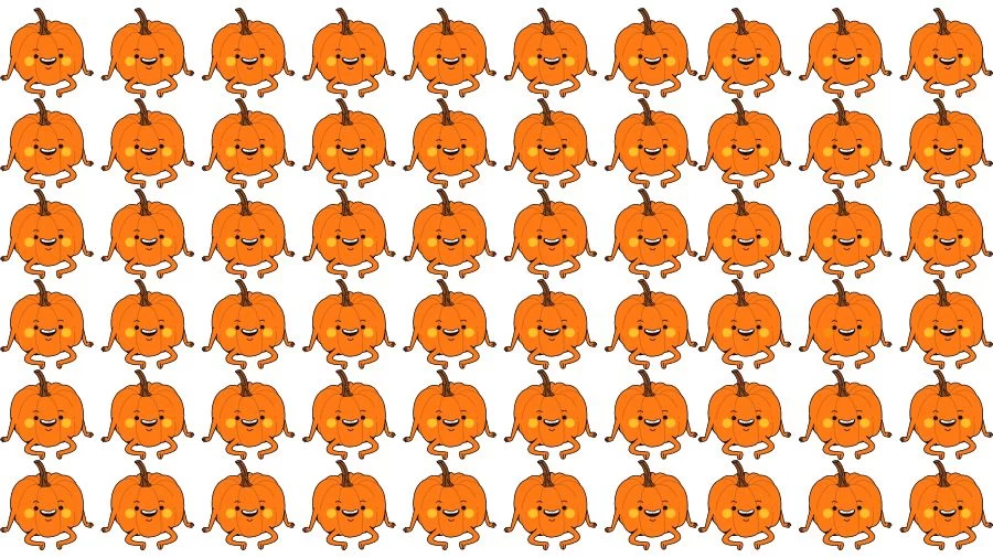 Optical Illusion Visual Test: If you have Eagle Eyes find the Odd Pumpkin in 18 Seconds