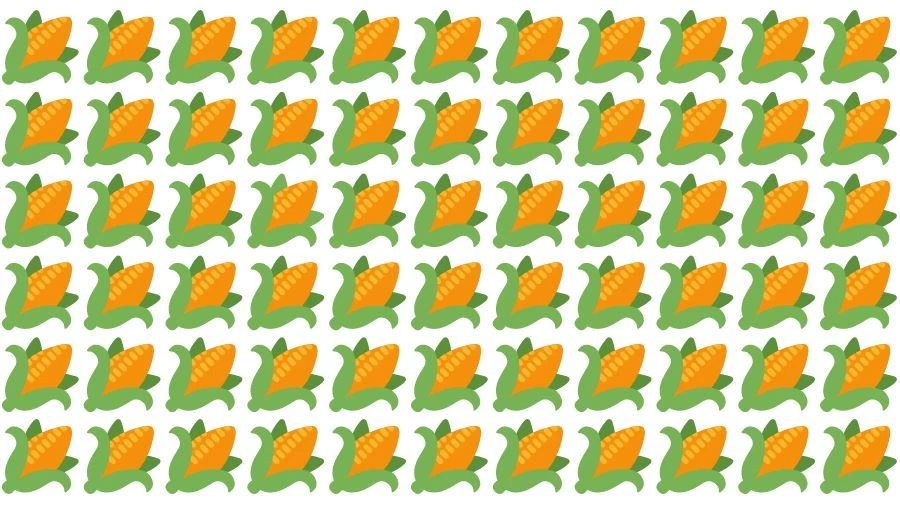 Optical Illusion Visual Test: If you have Eagle Eyes find the Odd Corn in 18 Seconds