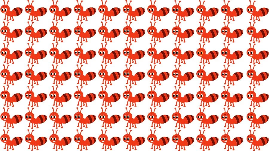 Optical Illusion Brain Challenge: If you have Eagle Eyes find the Odd Ant in 15 Seconds