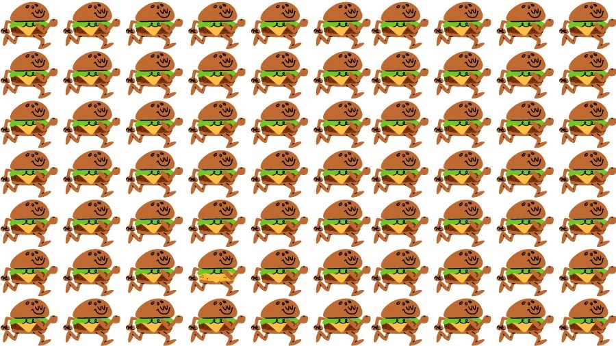 Optical Illusion Visual Test: If you have Eagle Eyes find the Odd Burger in 18 Seconds